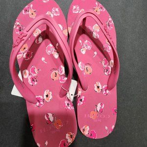 Coach Clementine Flip Flops NWT size 9m